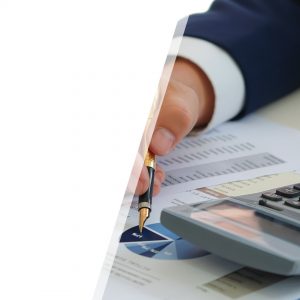 Dealing with Revenue Audits
